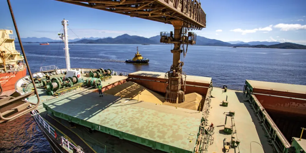 A soja em grão segue sendo o produto paranaense mais exportado