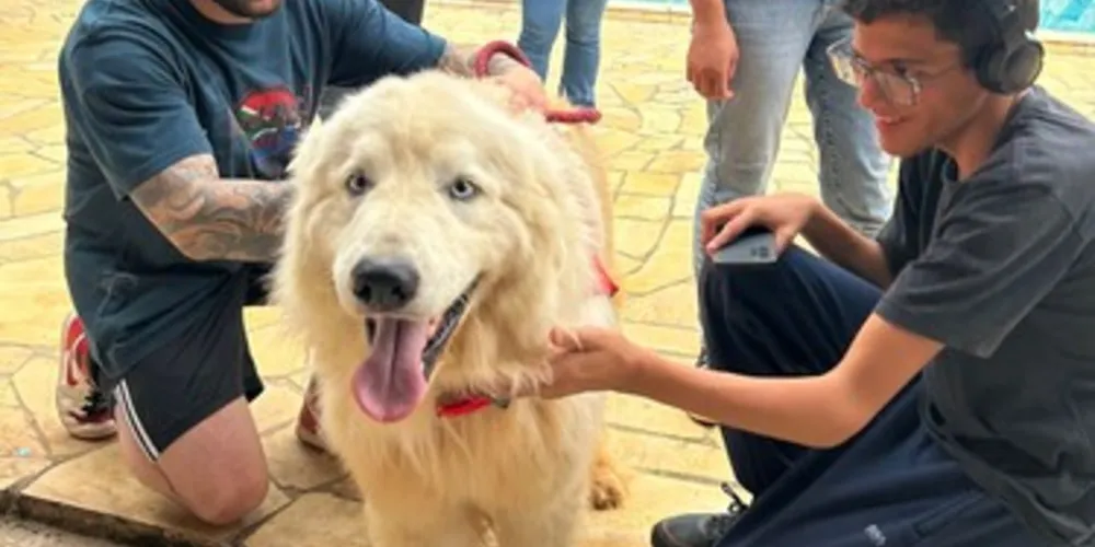 O 'Mascotes da Alegria', compartilha conhecimentos sobre à dignidade animal