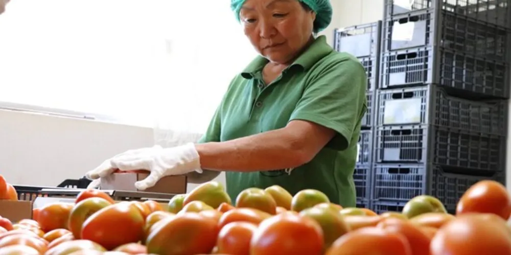Mesmo com queda, setor de hortifrutigranjeiros teve aumento