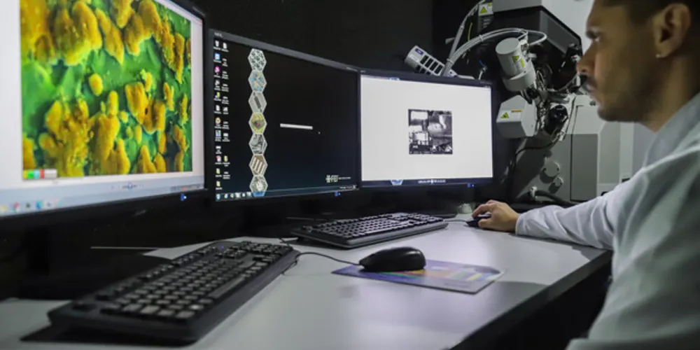 Professores das universidades estaduais de Londrina (UEL), de Maringá (UEM), de Ponta Grossa (UEPG) e do Centro-Oeste (Unicentro) estão entre os pesquisadores mais influentes do mundo