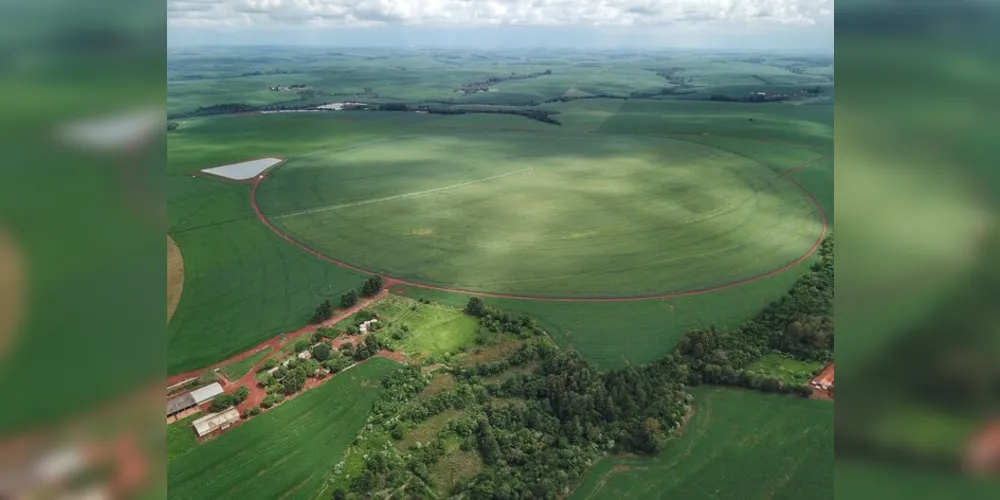 Com 312 mil hectares, produtores de milho terminam plantio da primeira safra