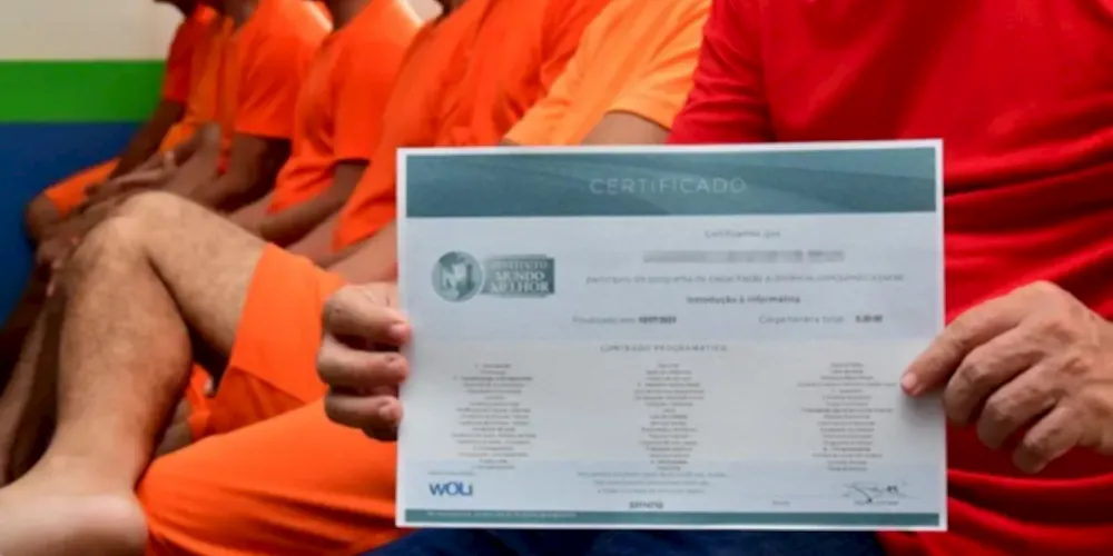 Esses cursos livres são oferecidos em formato webséries e palestras presenciais pela New Life