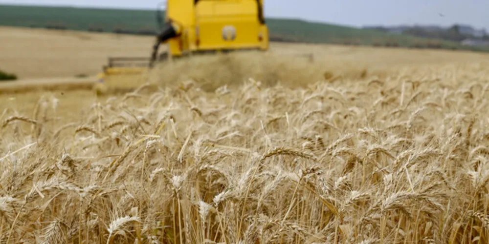 'El Niño' trouxe prejuízos para a safra paranaense