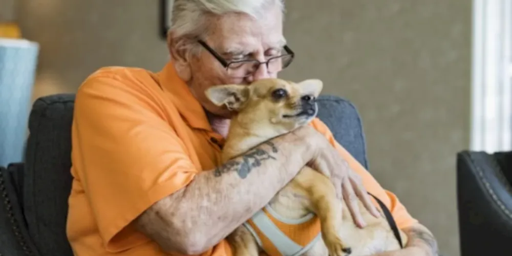 Os pesquisadores alertam que apenas ter um cão não protege contra a doença se a pessoa fizer pouco exercício e estiver isolada socialmente.