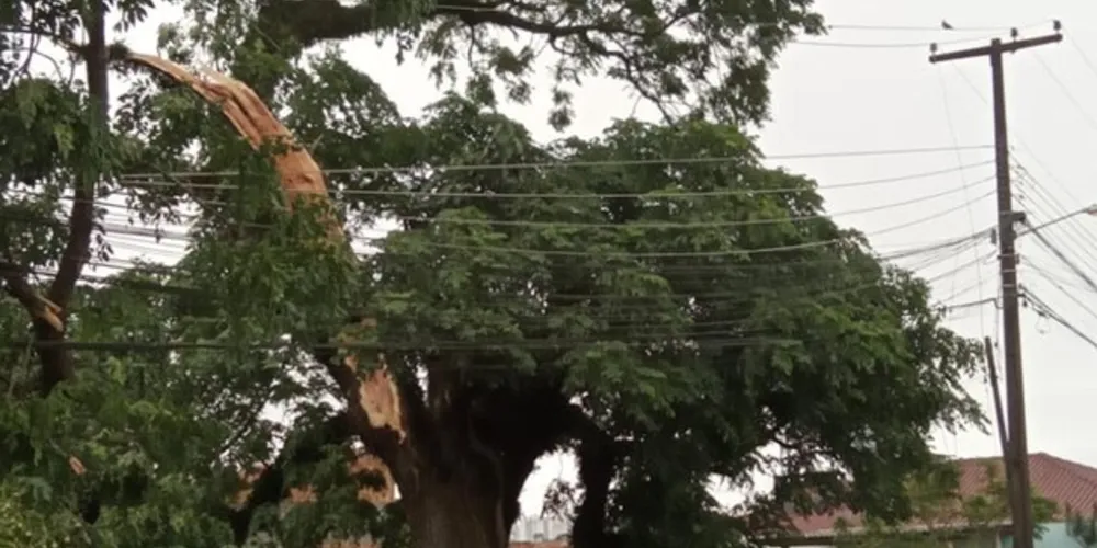 Trabalho da Copel avança em todo Paraná para restabelecer energia após temporais