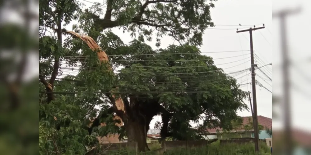 Trabalho da Copel avança em todo Paraná para restabelecer energia após temporais