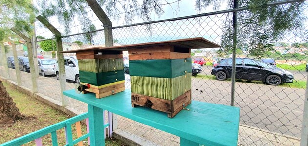Projeto leva colmeia de abelhas sem ferrões para escolas