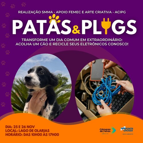 O ‘Patas e Plugs’ representa esforço significativo para promover a adoção responsável de animais e a conscientização ambiental na comunidade.