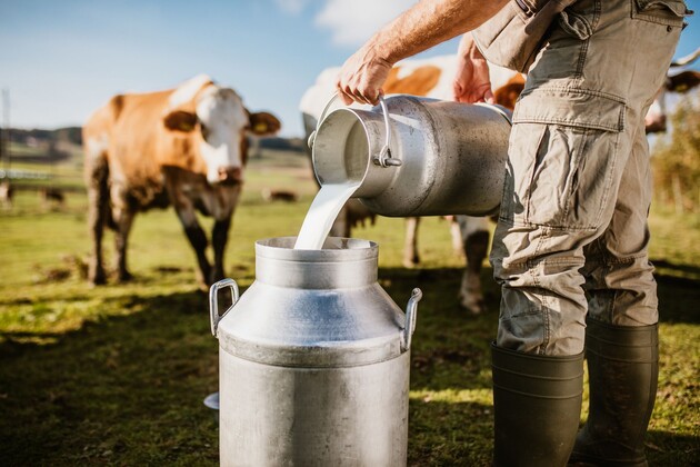 Produção leiteira ficou estimada em 34,6 bilhões de litros em 2022