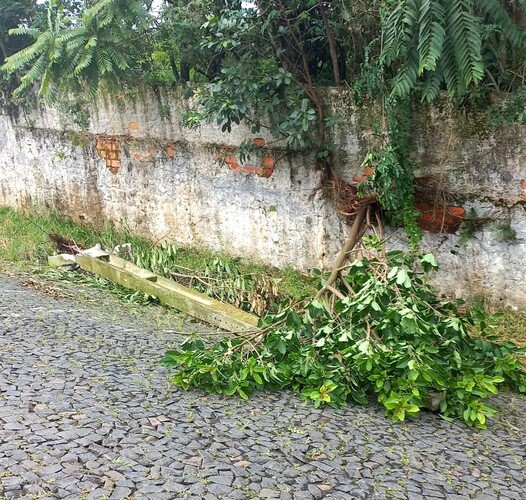 População também reclama das más condições da calçada, que fica ao lado de terreno da FASPG