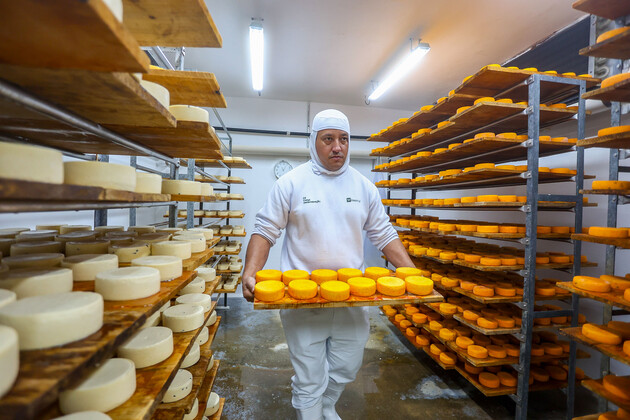 Witmarsum, Indicação Geográfica dos queijos