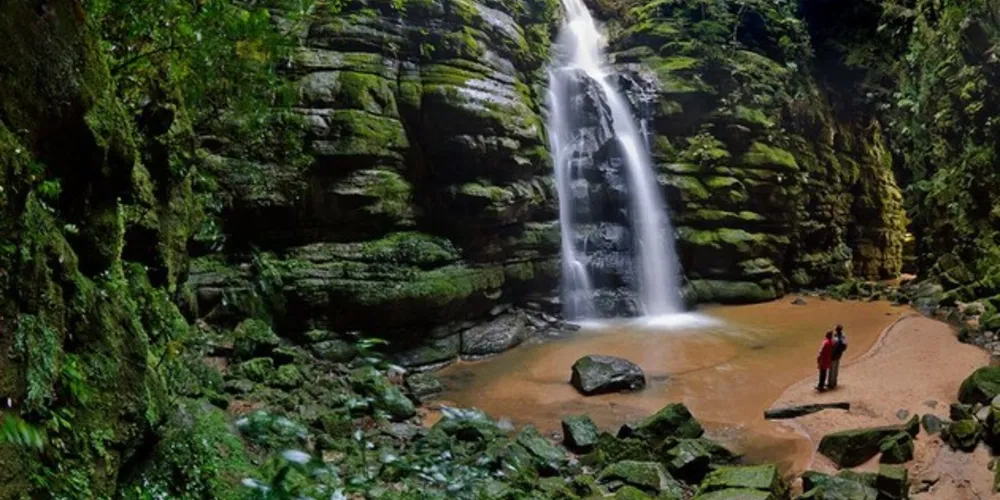 O Parque foi criado em 2006 e compreende área de cerca de 21 mil hectares de Mata Atlântica no Município de Ponta Grossa