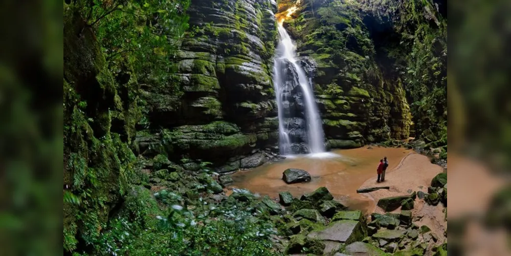 O Parque foi criado em 2006 e compreende área de cerca de 21 mil hectares de Mata Atlântica no Município de Ponta Grossa