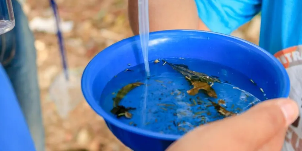 Deve-se reduzir a infestação de mosquitos por meio da eliminação de criadouros