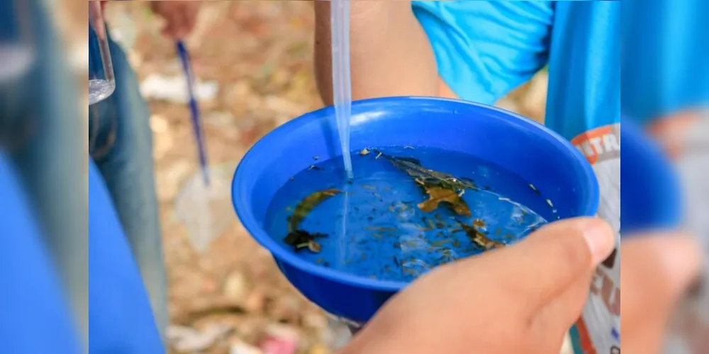 Deve-se reduzir a infestação de mosquitos por meio da eliminação de criadouros