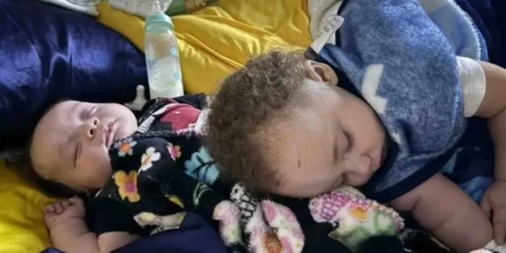 A família foi encontrada em boas condições de saúde.