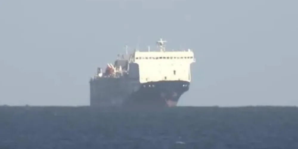 A empresa está planejando manter os animais a bordo do navio até que possam ser reexportados.