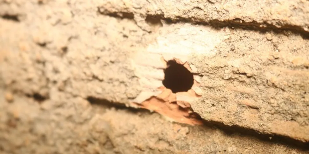 Vítima dos disparos tem 38 anos