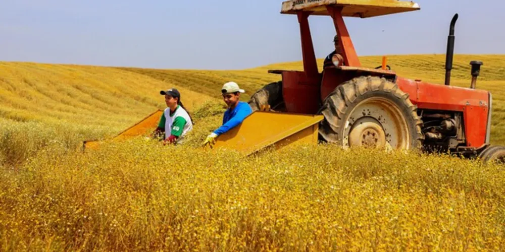 Paraná teve o maior crescimento da atividade econômica do Brasil em 2023