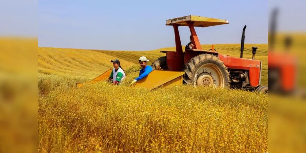 Paraná teve o maior crescimento da atividade econômica do Brasil em 2023