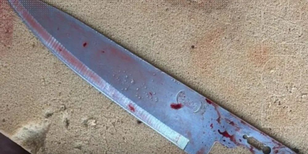 Suspeito desferiu ao menos nove golpes de faca nas costas, tórax e rosto da mulher.