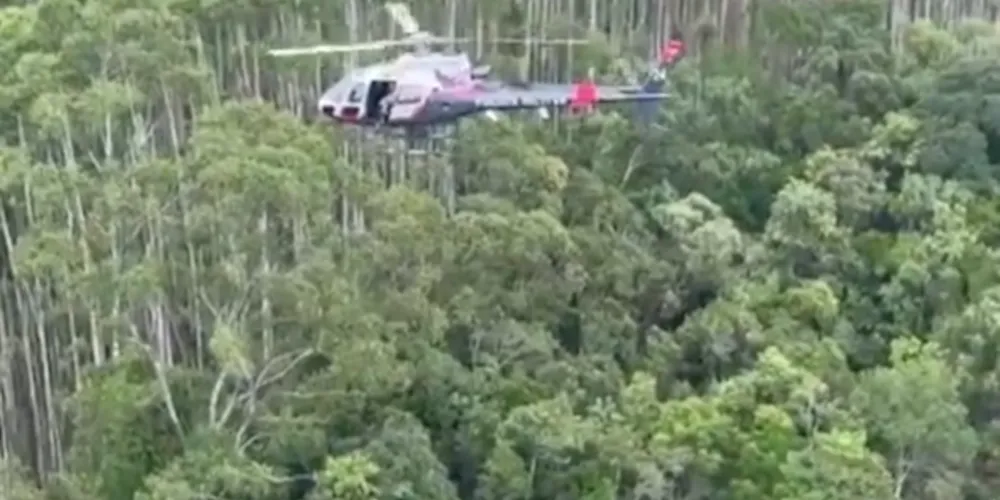 Equipes realizavam buscas pela aeronave há 12 dias.