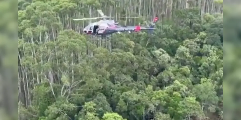 Equipes realizavam buscas pela aeronave há 12 dias.