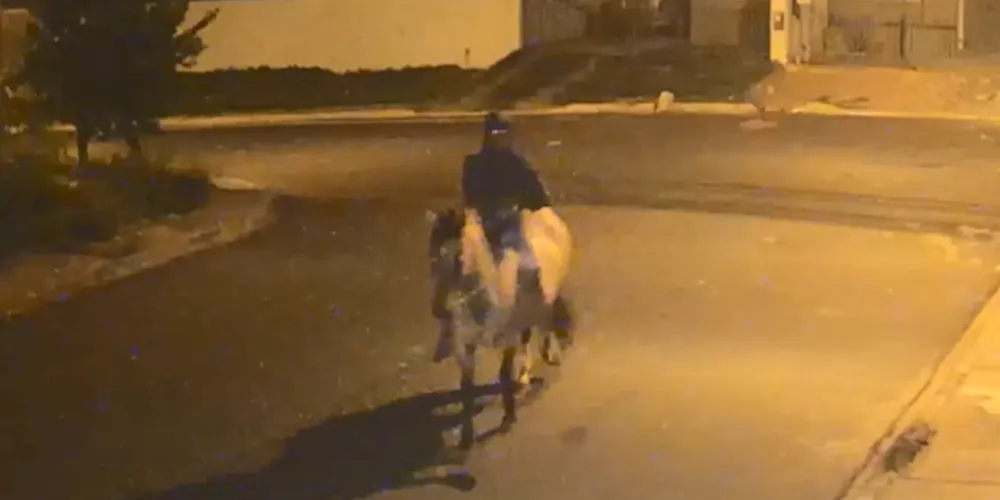 Veja o momento no vídeo