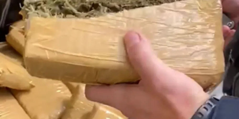 Os suspeitos foram detidos e conduzidos à conduzidos à Delegacia de Teixeira Soares.