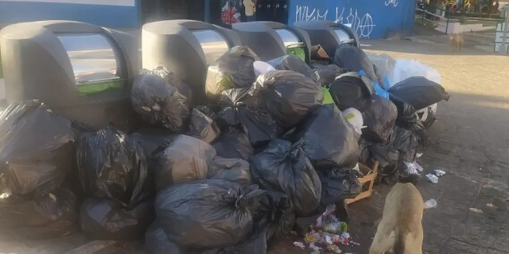 A grande quantidade de lixo é deixada para fora das lixeiras que não suportam a quantidade, atraindo animais, que acabam revirando.