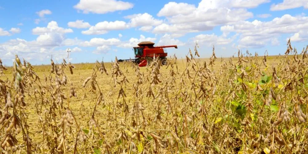 Colheita de soja teve uma queda expressiva de quase 12%