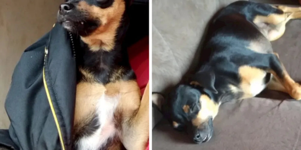 'Nenê' desapareceu na última quinta-feira (21)