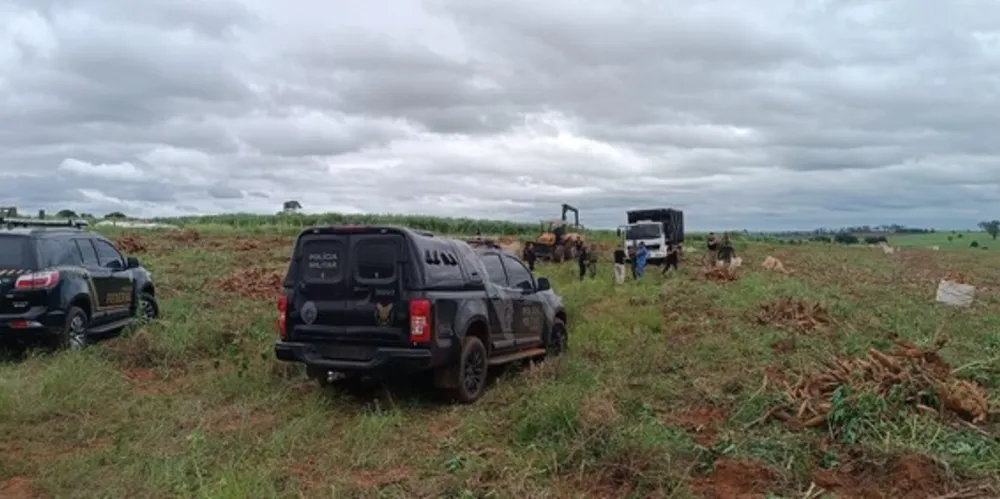 Agentes de segurança localizaram a fazenda no município de Icaraíma