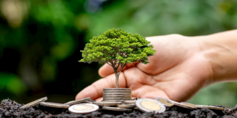 Os títulos de financiamento privado do agro continuaram apresentando incrementos relevantes em novembro deste ano.