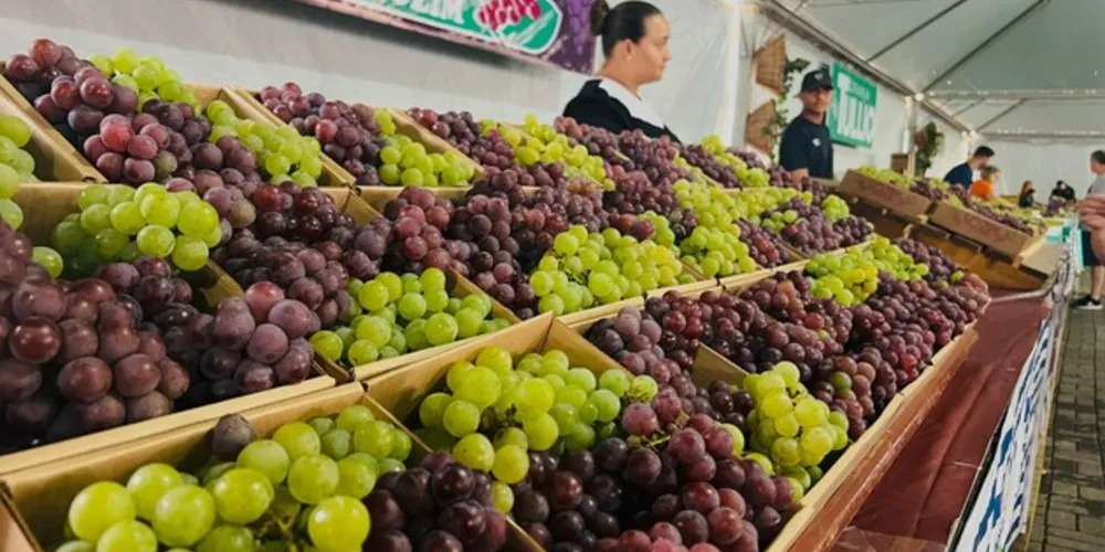 A estimativa é que cerca de 30 mil pessoas tenham participado do evento nos dois fins de semana