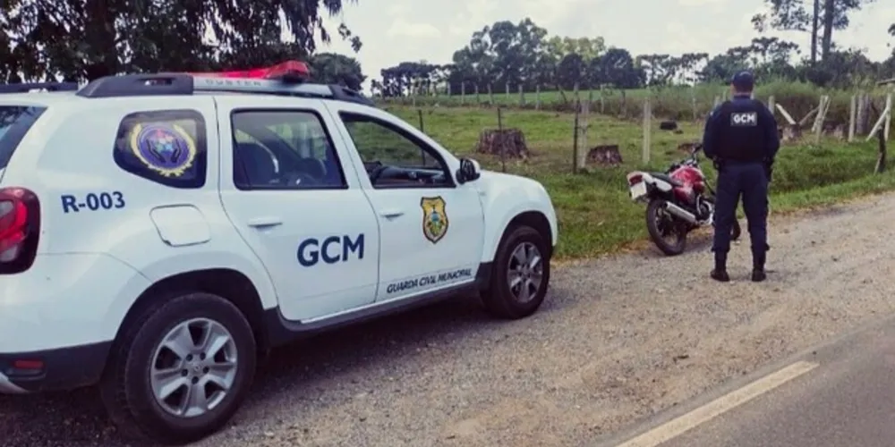 Operação aconteceu em distrito de Ponta Grossa
