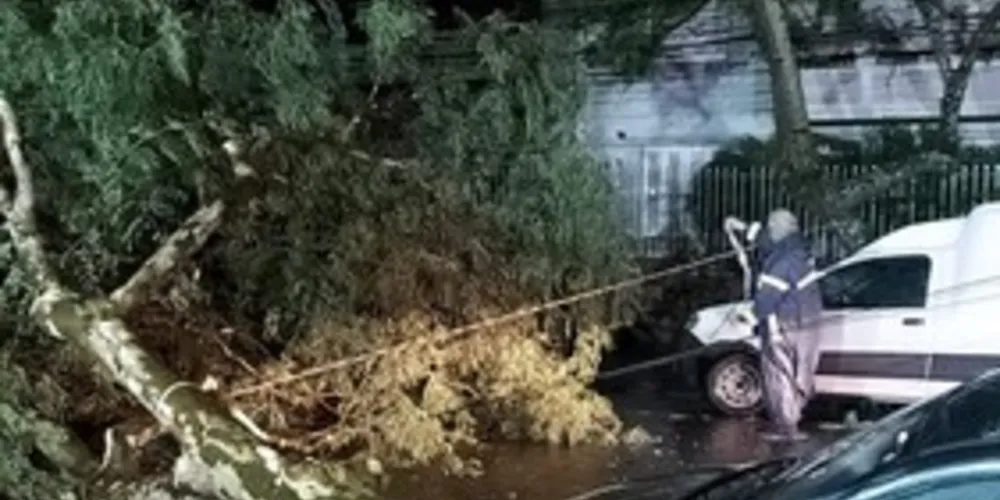 Em Cachoeirinha, 600 residências ficaram destelhadas e foram registradas quedas de mais de 200 árvores e de 150 postes.