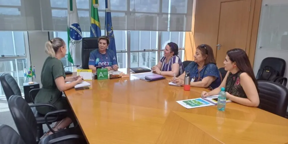 Representantes do  Conselho Municipal da Pessoa Idosa estiveram em reunião com a prefeita Elizabeth Schmidt