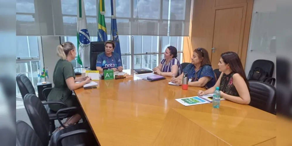 Representantes do  Conselho Municipal da Pessoa Idosa estiveram em reunião com a prefeita Elizabeth Schmidt