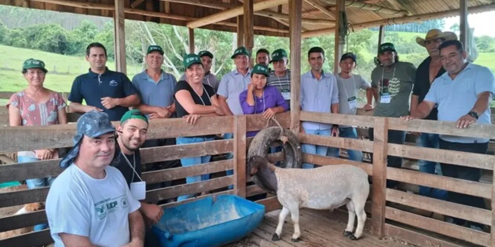 Imbaú estuda lei municipal para incentivo à caprinocultura