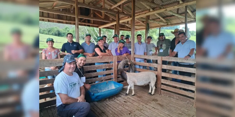 Imbaú estuda lei municipal para incentivo à caprinocultura