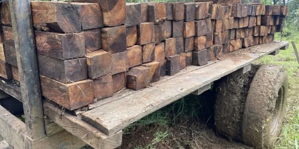 Foram 17 palanques de embuia apreendidos pela PM