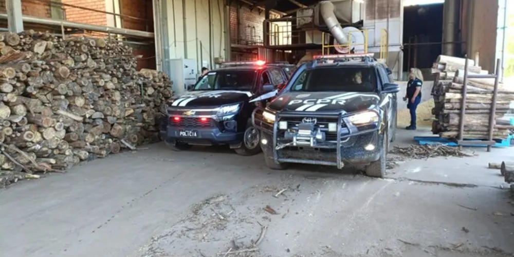 Incineração aconteceu na manhã desta segunda-feira (18)