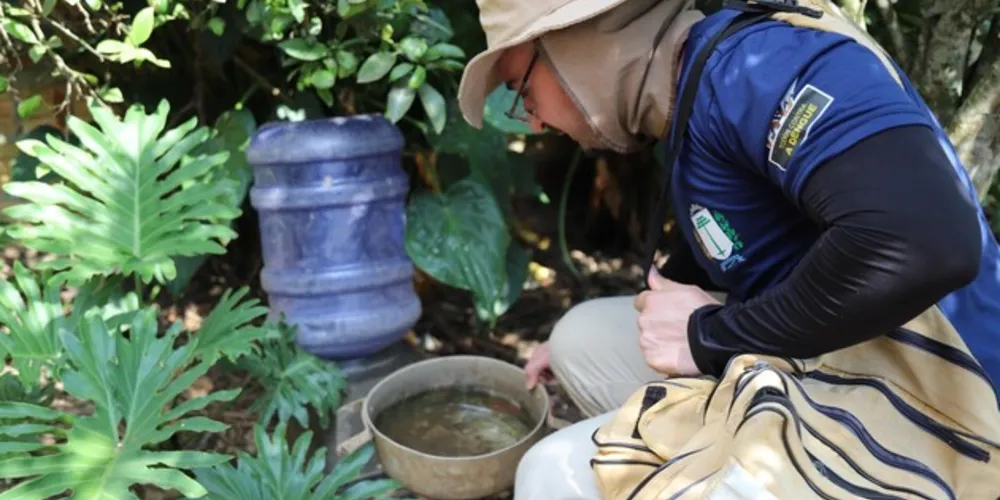 Focos do mosquito são encontrados principalmente em casas onde há tonéis (tambores) de água sem tampa