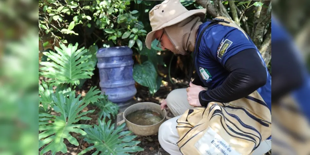 Focos do mosquito são encontrados principalmente em casas onde há tonéis (tambores) de água sem tampa