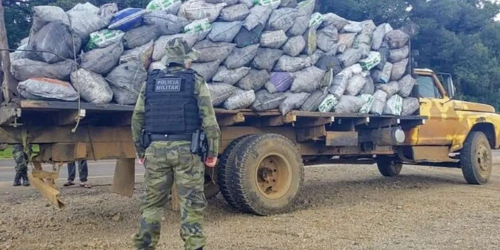 Inácio Martins – Foram apreendidos: um caminhão transportando carvão vegetal sem documentação, 1.800 kg de carvão. Houve assinatura de termo circunstanciado ao responsável