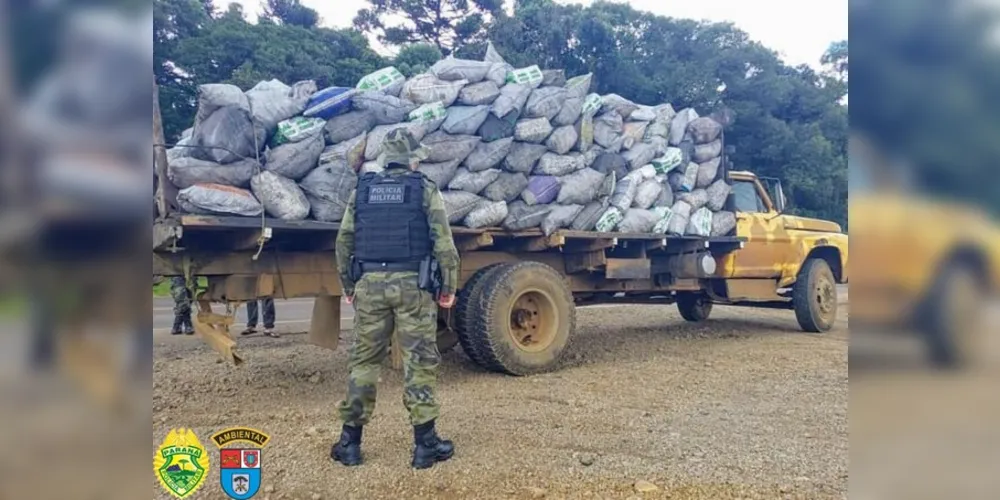 Inácio Martins – Foram apreendidos: um caminhão transportando carvão vegetal sem documentação, 1.800 kg de carvão. Houve assinatura de termo circunstanciado ao responsável