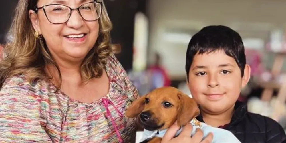 Animais como cães e gatos, que estão aguardando por um lar, estarão disponíveis para adoção.