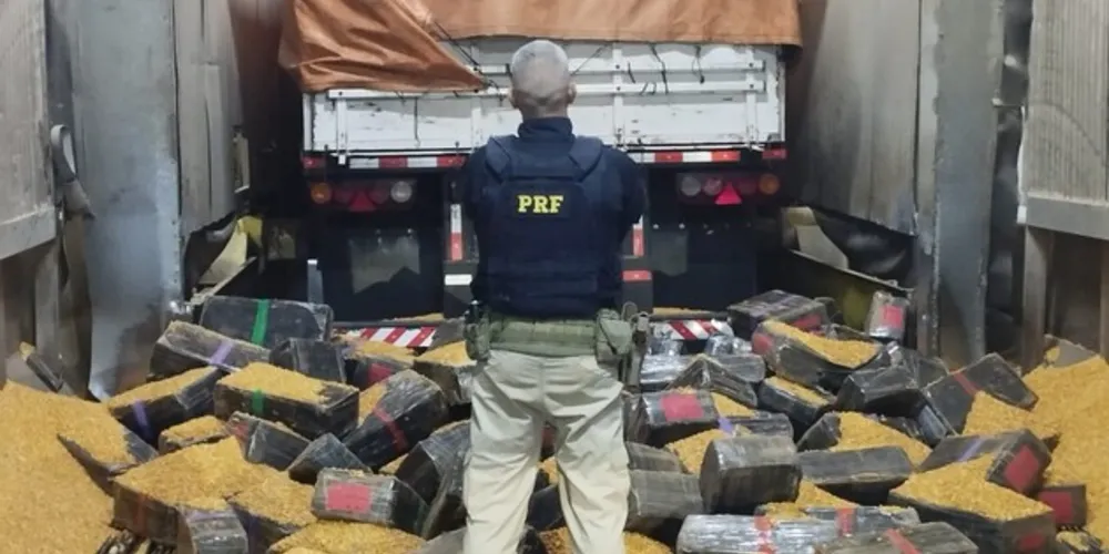 PRF localizou na carroceria 2.037 quilos de maconha oculta embaixo de uma carga de milho