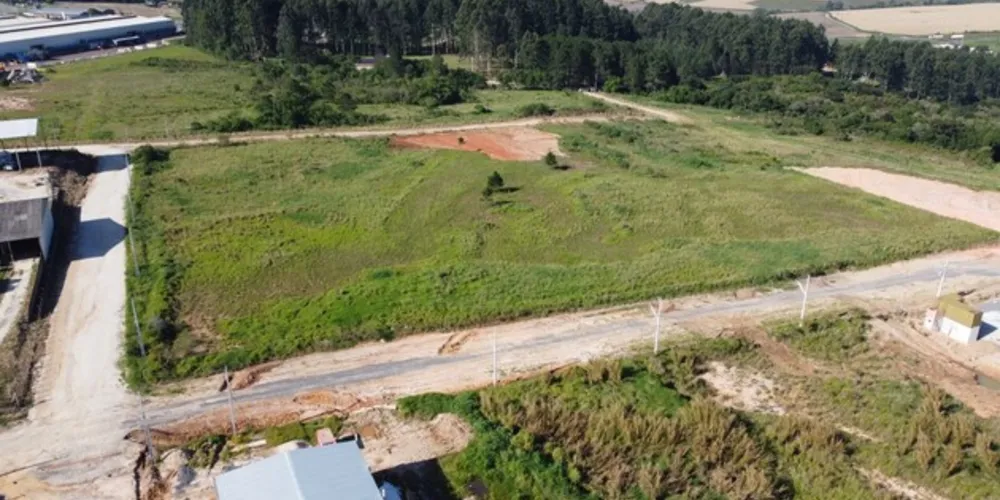 Prefeitura de Palmeira está leiloando terrenos naquele município